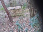 Terreno Agricolo in vendita, Capannori vorno