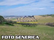 Terreno Agricolo in vendita, Cascina san prospero navacchio