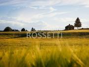 Terreno Agricolo in vendita, Cerreto Guidi gavena
