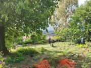 Terreno Agricolo in vendita in coeso vitt.emanuele, Valverde