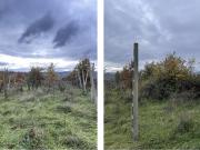 Terreno Agricolo in vendita in località ravigliano,...