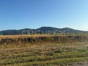 Terreno Agricolo in vendita in via dei ponti neri, Grosseto