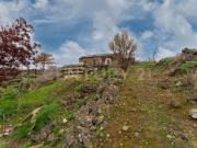 Terreno Agricolo in vendita in via santa maria di...
