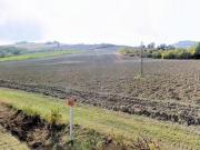 Terreno agricolo in Vendita in zona FRATTA TERME