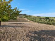 Terreno agricolo in Vendita in zona SANT'ANTONIO con...