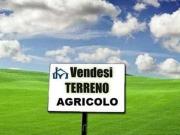 Terreno Agricolo in vendita, San Giuliano Terme colignola