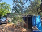 Terreno Agricolo monolocale 2400mq