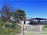 TERRENO AGRICOLO MONTAGNANA MONTAGNANA monolocale 40mq