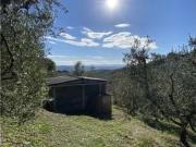 TERRENO AGRICOLO PALANDRI 1 CASTRA monolocale 4000mq