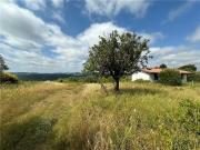 TERRENO AGRICOLO PIANDACCOLI 1 MALMANTILE 6 vani 110000mq