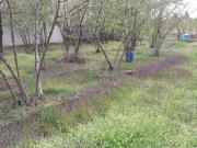 TERRENO AGRICOLO PIANEGGIANTE