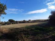 Terreno Agricolo Rif. 1850