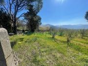 Terreno agricolo Rudere in vendita a Avella