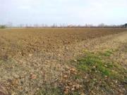Terreno Agricolo Sacile. Rif.: Sp3559064
