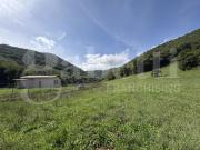 Terreno Agricolo Segni. Rif.: Cod. rif 3261218VCG