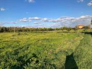 Terreno Agricolo Sellia Marina. Rif.: 31169