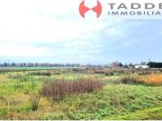 TERRENO AGRICOLO UGNANO UGNANO 8900mq