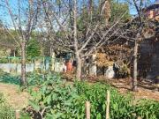 Terreno Agricolo uso orto