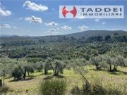 TERRENO AGRICOLO VIA DELL´ARRIGO VINGONE 6 vani 28000mq