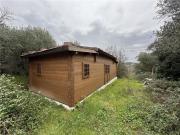 TERRENO AGRICOLO VIA DI PAGNANA 1 POZZALE trilocale 11000mq