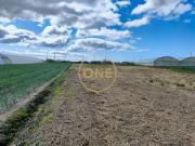 Terreno, Aguçadoura e Navais, Póvoa de Varzim | BPI...