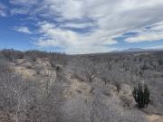 Terreno Agua Blanca Camino de la Lisa