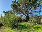 Terreno, Agualva e Mira Sintra, Sintra | BPI Expresso...