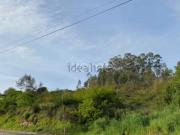 Terreno, Águeda e Borralha