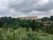 Terreno, Águeda e Borralha