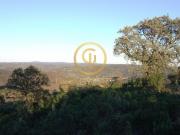 Terreno Álamo Alcoutim