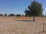 Terreno, Albacete