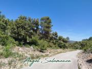 Terreno, Albalate de Zorita