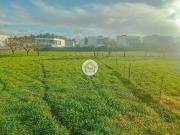 Terreno, Albergaria A Velha e Valmaior, Albergaria a...