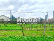 Terreno, Albergaria A Velha e Valmaior, Albergaria a...