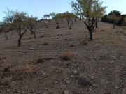 Terreno, Albuñuelas