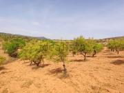 Terreno, Albuñuelas