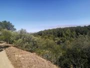 Terreno, Alcabideche, Cascais | BPI Expresso Imobiliário