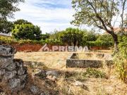 Terreno, Alcains, Castelo Branco | BPI Expresso Imobiliário