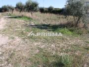 Terreno, Alcains, Castelo Branco | BPI Expresso Imobiliário