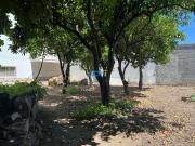 Terreno, Alcains, Castelo Branco | BPI Expresso Imobiliário