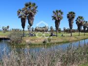 Terreno, Alcantarilha e Pêra