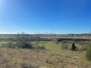 Terreno, Alcantarilha e Pêra