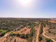 Terreno, Alcantarilha e Pêra