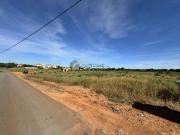 Terreno, Alcantarilha e Pêra