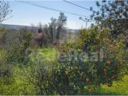 Terreno, Alcantarilha e Pêra, Silves | BPI Expresso...