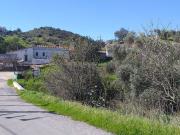 Terreno, Alcoutim e Pereiro