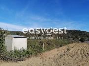 Terreno, Alcoutim e Pereiro