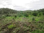 Terreno, Alcoutim e Pereiro, Alcoutim | BPI Expresso...
