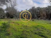 Terreno, Alcoutim e Pereiro, Alcoutim | BPI Expresso...