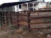 Terreno Aldama